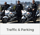 Picture of Traffic & Parking Icon