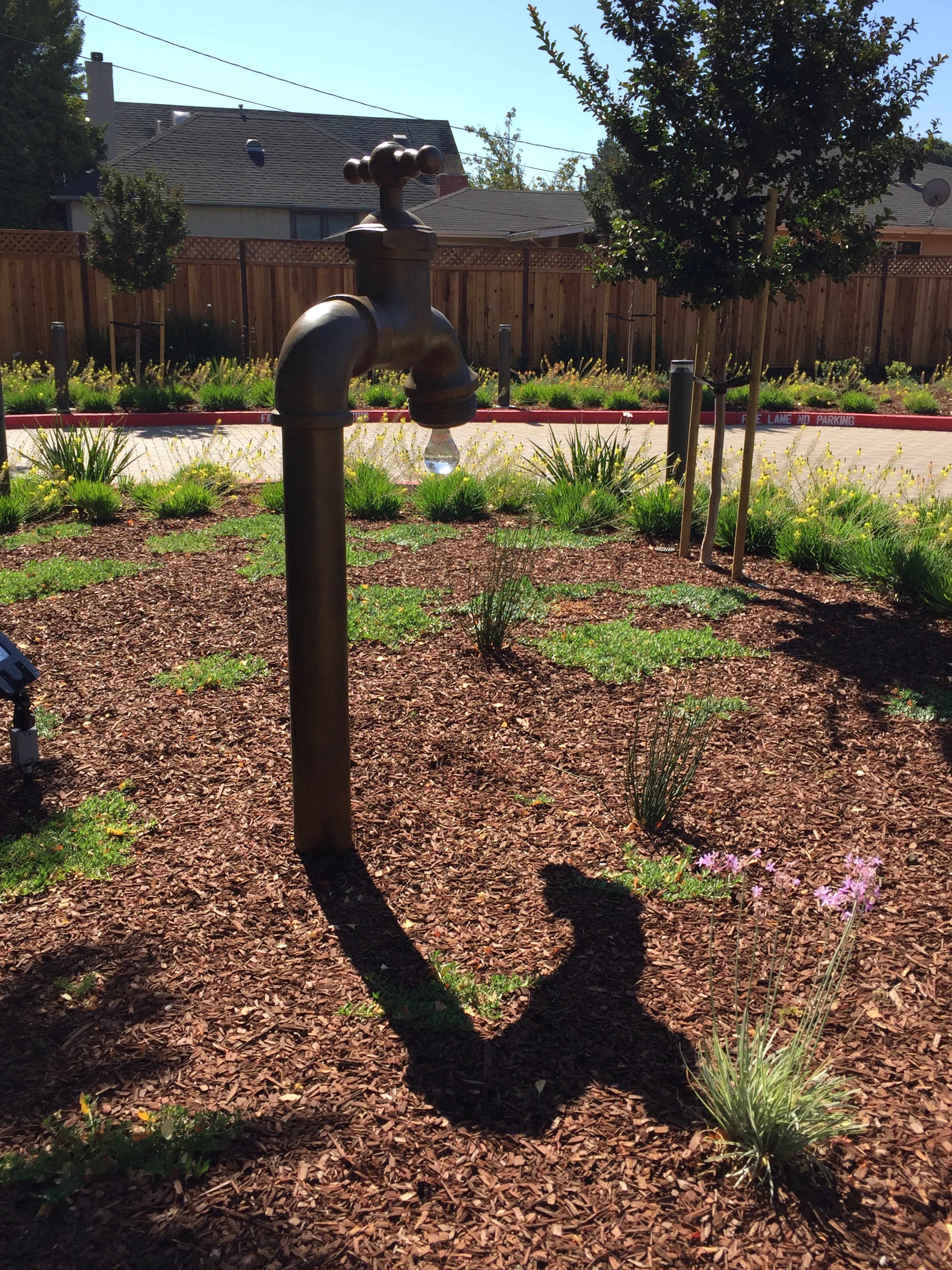 Cal Water Drop - shadow