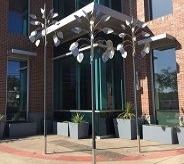 THUMB-Weeping Willow