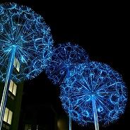 Thumbnail-Dandelions Blue