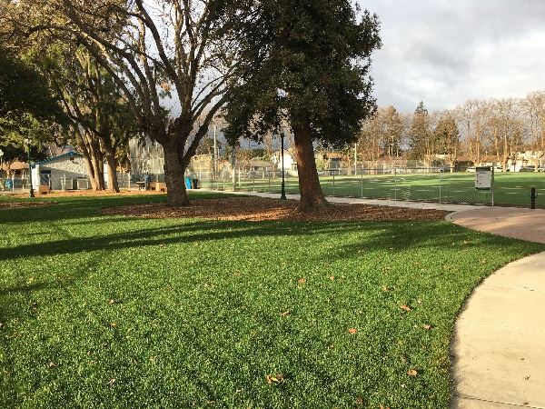 King Park After- Interior