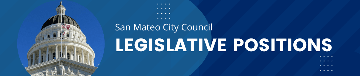 City Council Legislative Positions