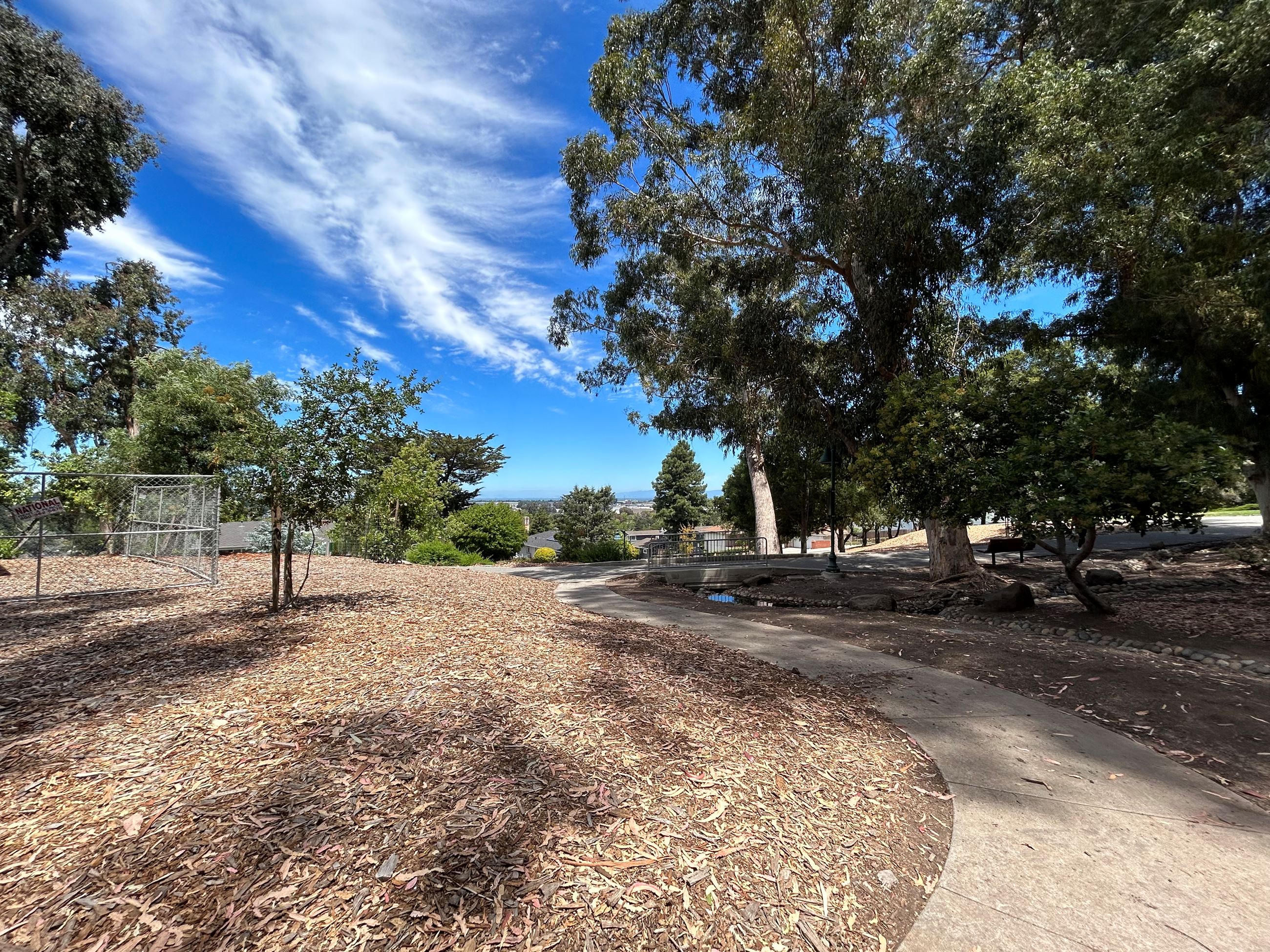 Image of Indian Springs Park Tree