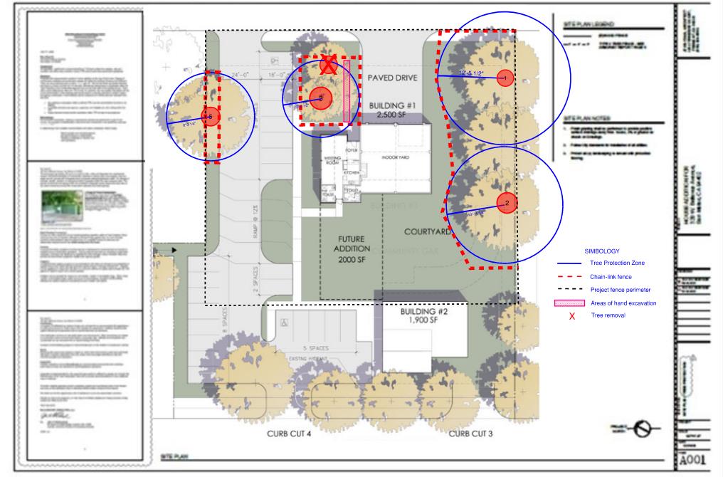 Sample of an Arborist Report Included in the Plan Set