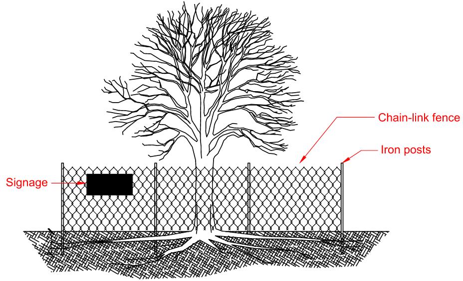 Trees - Type I Complete Protective Fencing