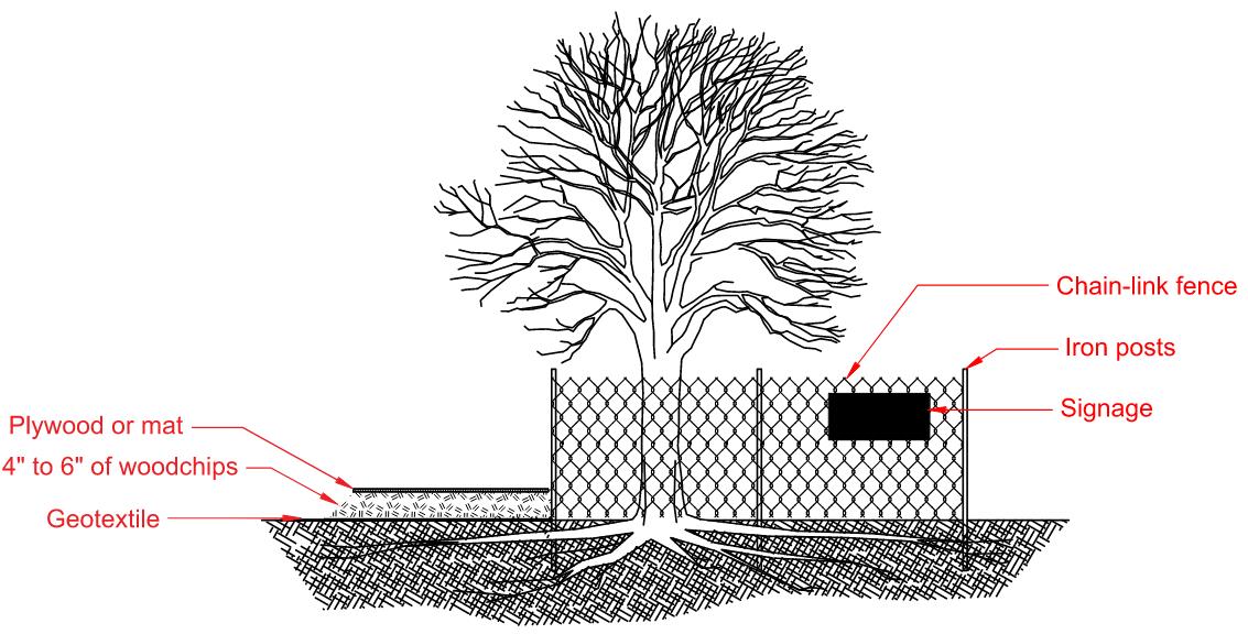 Trees - Type II Partial-Reduced Fencing