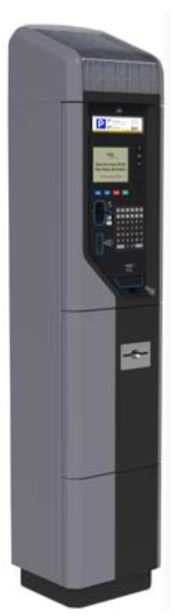 Multi-Space Pay Station