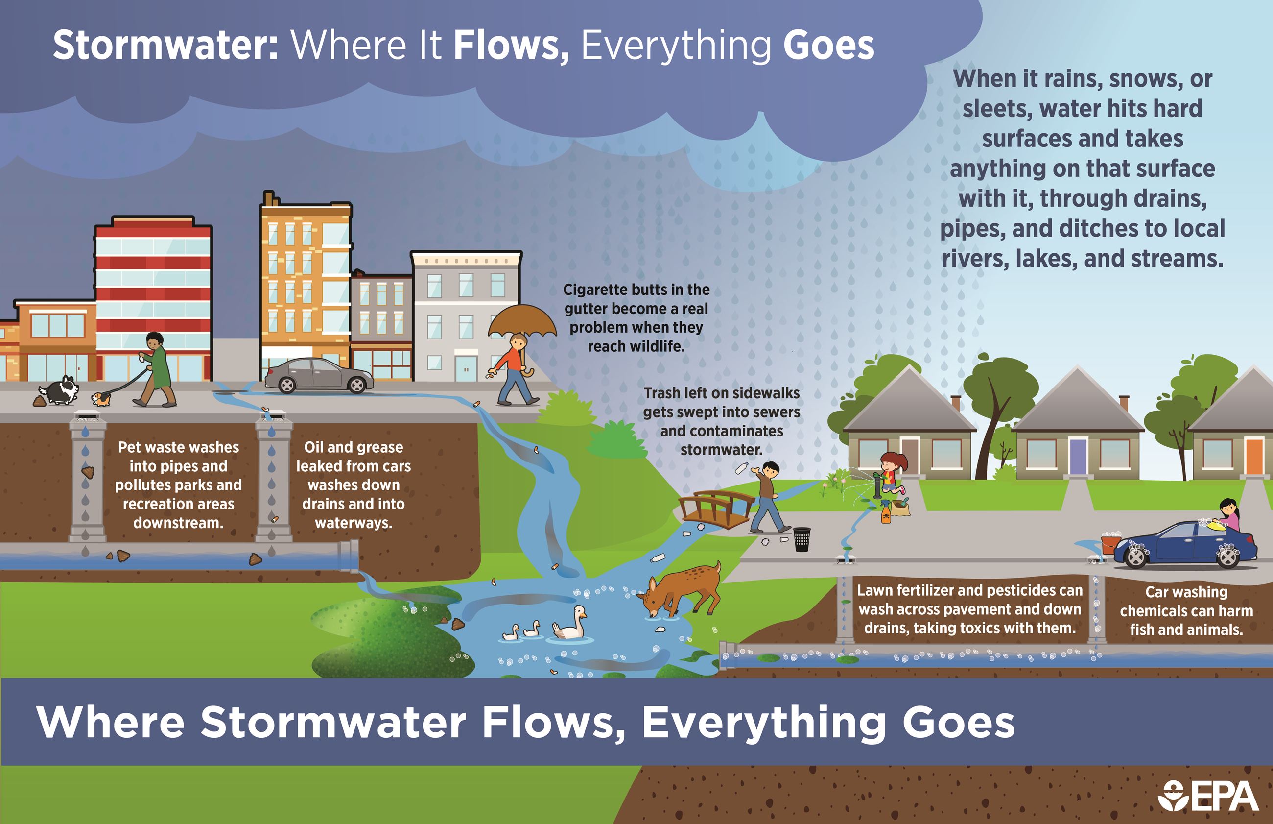 Infographic on where stormwater flows in a community Opens in new window